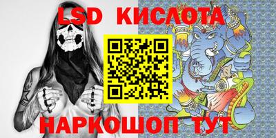 шишки Бузулук