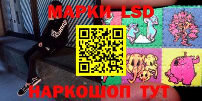 шишки Бузулук