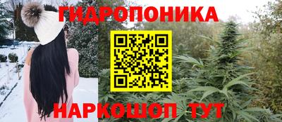 шишки Бузулук