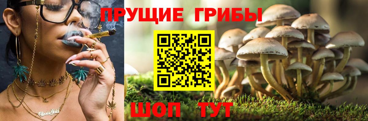Галлюциногенные грибы ЛСД Ликино-Дулёво