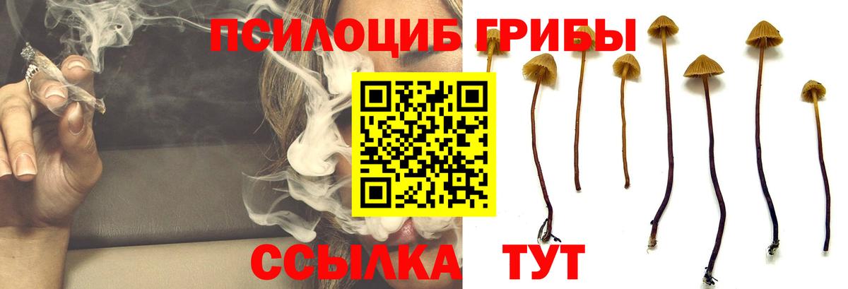 купить   Галлюциногенные грибы Psilocybe  Вход с VPN  Ликино-Дулёво 